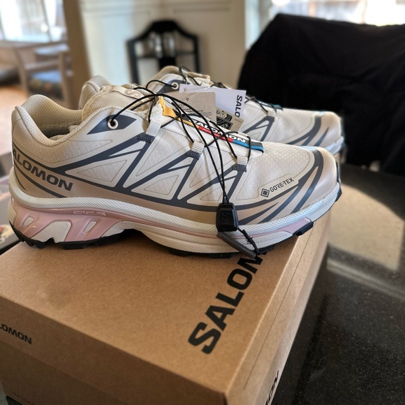 Salomon Shoes - New, never worn Salomon XT-6 GTX 
Almond/Milk/Feather Gray/Pale Mauve